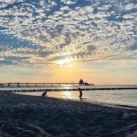 Fewo Leuschner Lägenhet Zingst Exteriör bild